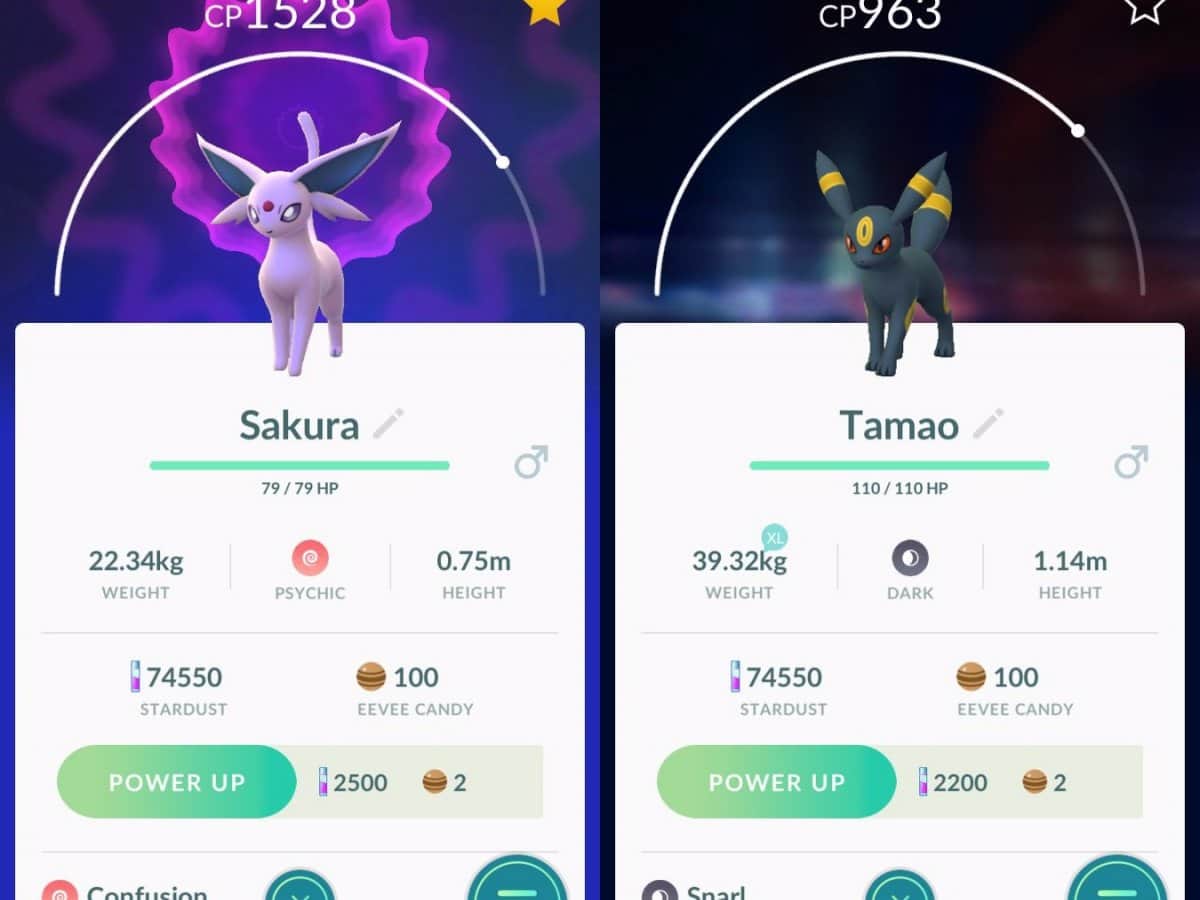 Evoluções Eevee: veja quais são e como evoluir no Pokémon GO
